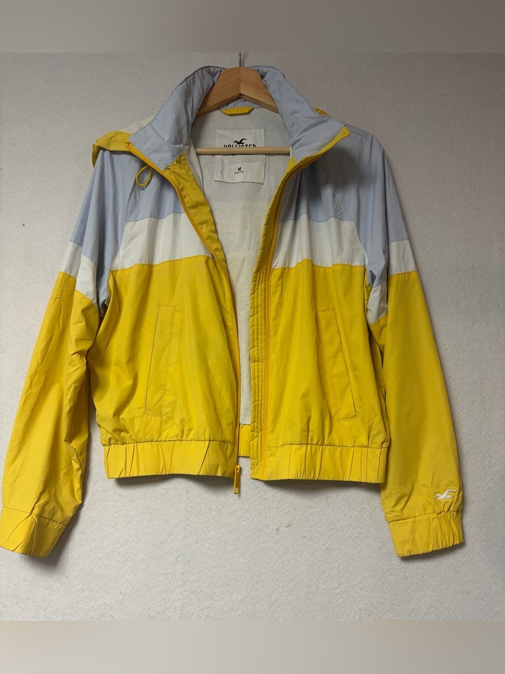 Hollister Blockcore Colorblock Hooded Windbreaker Jacket Retro Inspired
Medium